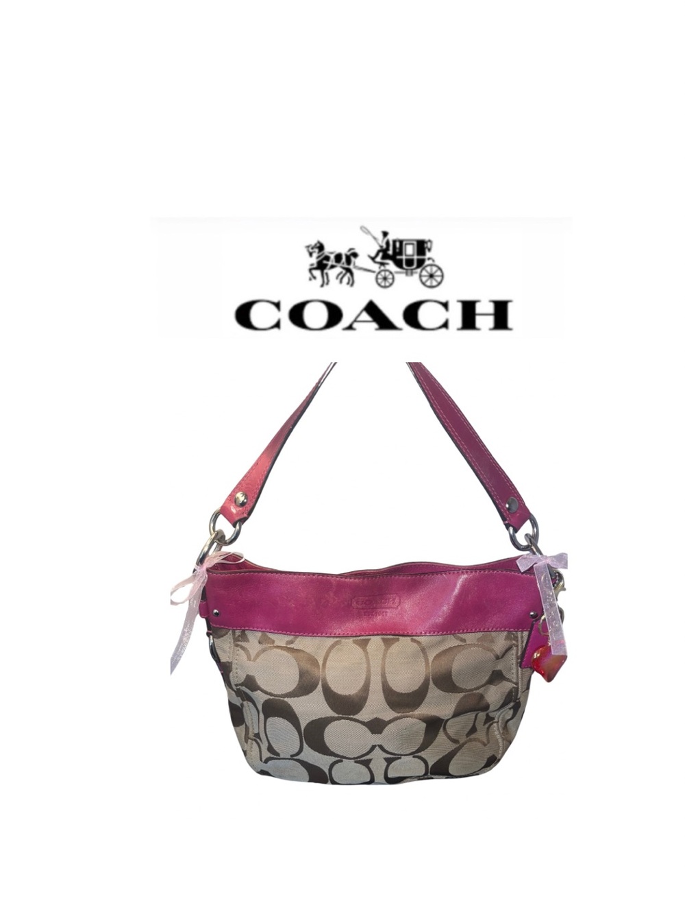 Coach Zoe Hobo Signature Canvas & Leather Shoulder Bag